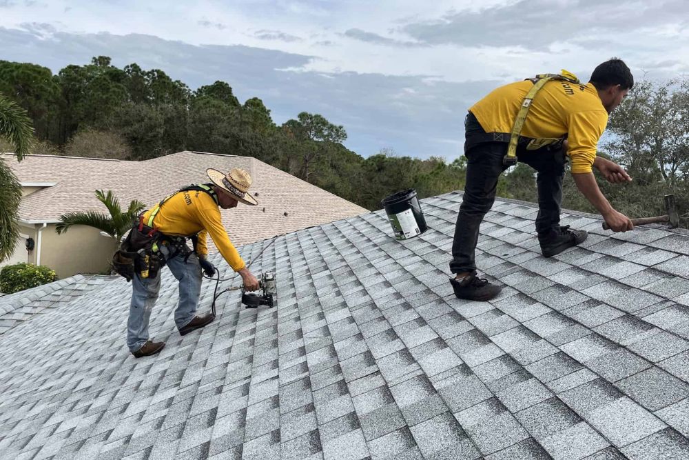Two workers on a roof in Tacoma, WA, engaged in a roof replacement project, utilizing a ladder for their tasks.