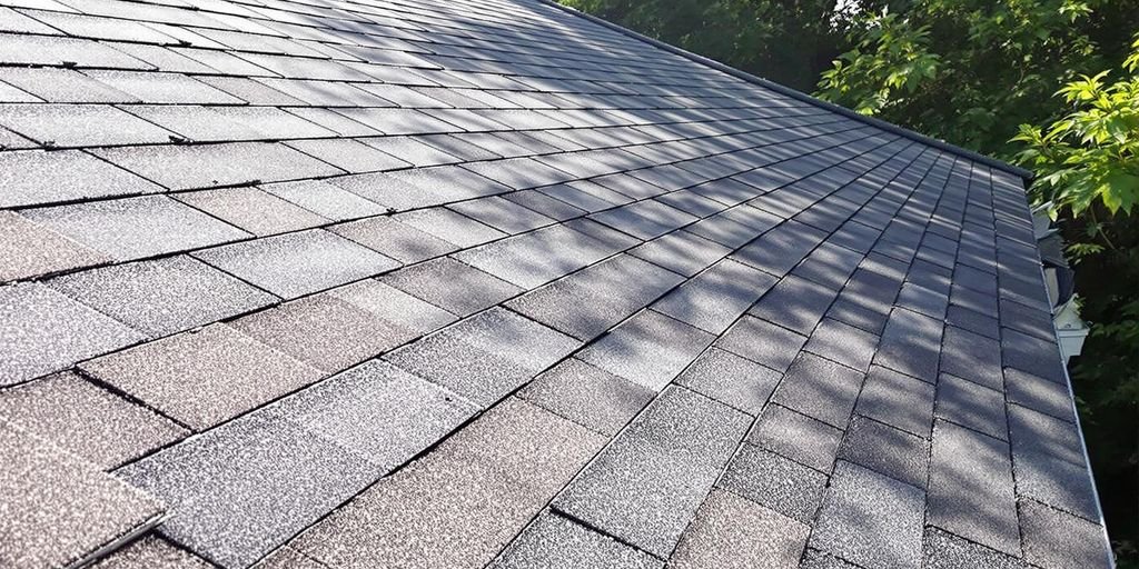 New roof on a Tacoma home with green surroundings.